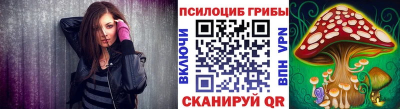 купить  цена  Кувшиново  Псилоцибиновые грибы MAGIC MUSHROOMS 